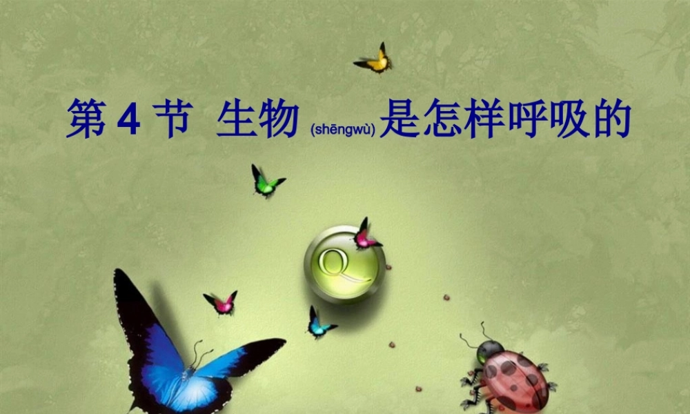 2022年医学专题—人体呼吸系统.ppt