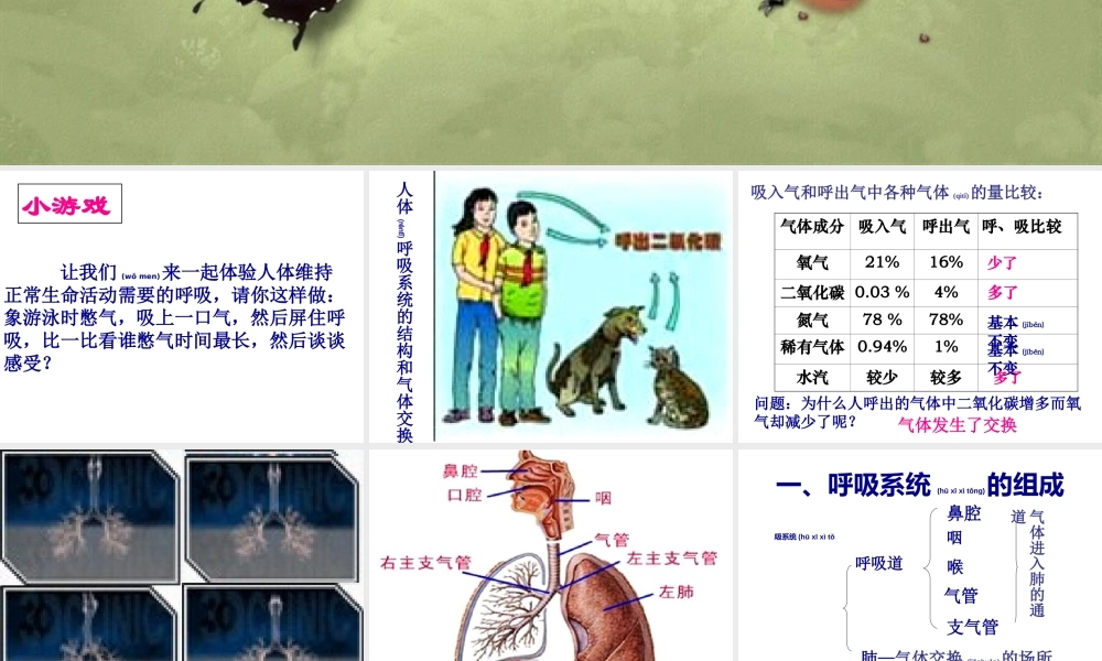 2022年医学专题—人体呼吸系统.ppt