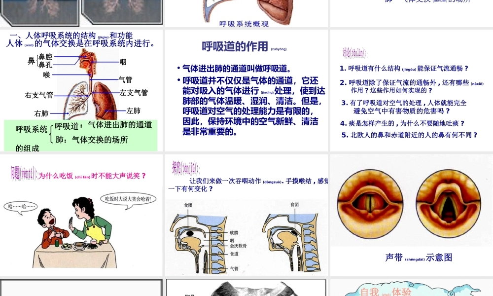 2022年医学专题—人体呼吸系统.ppt