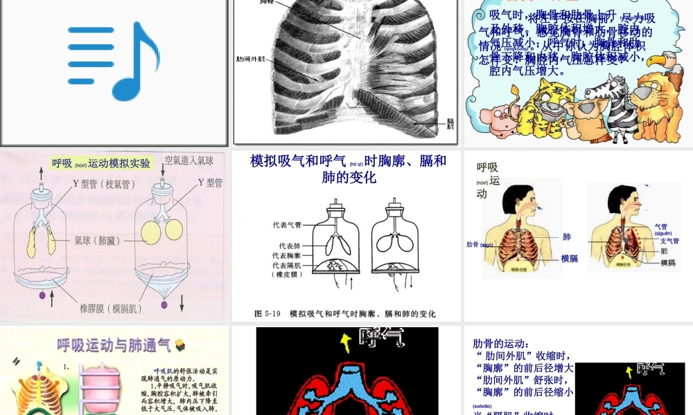 2022年医学专题—人体呼吸系统.ppt