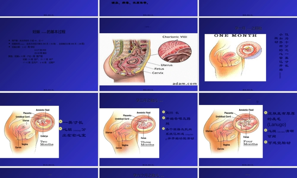 2022年医学专题—孕妇学校第一讲1精讲.ppt