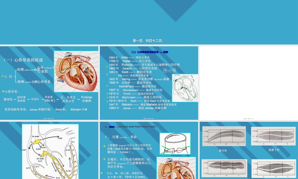 2022年医学专题—心脏传导系统剖析.ppt