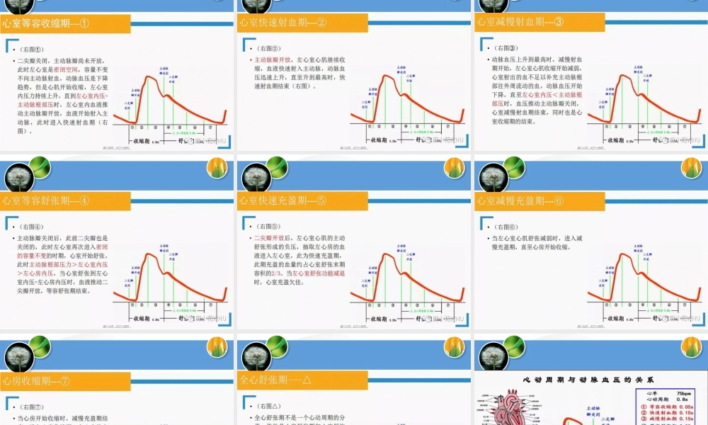 2022年医学专题—有创动脉压监测波形分析.ppt