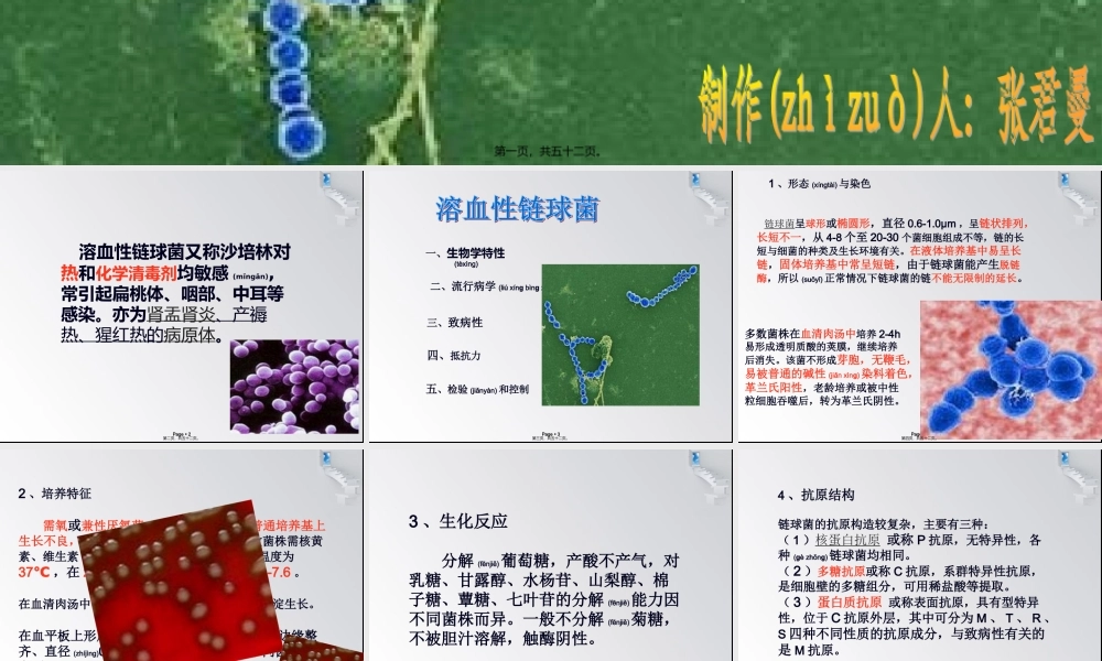 2022年医学专题—溶血性链球菌.ppt
