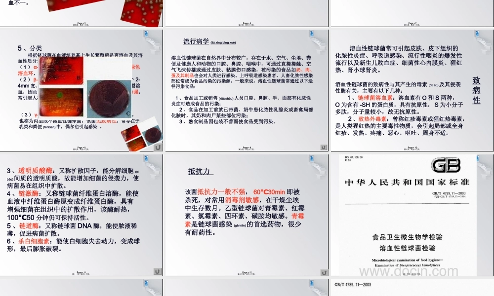 2022年医学专题—溶血性链球菌.ppt