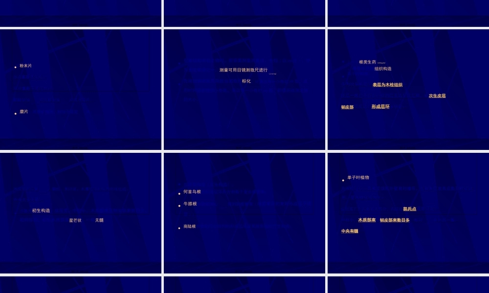 2022年医学专题—第十一章-生药的鉴定.ppt