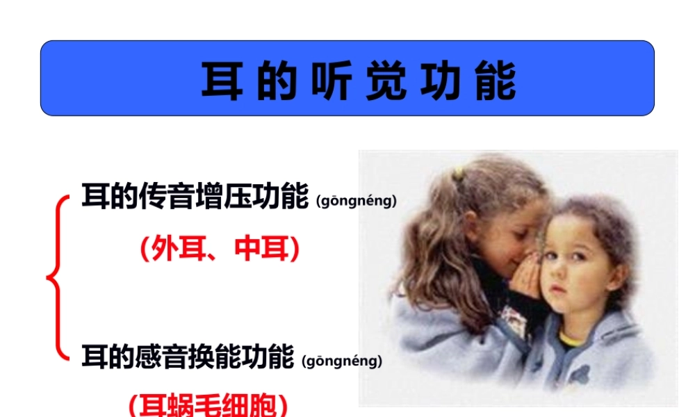 2022年医学专题—耳的听觉功能.ppt