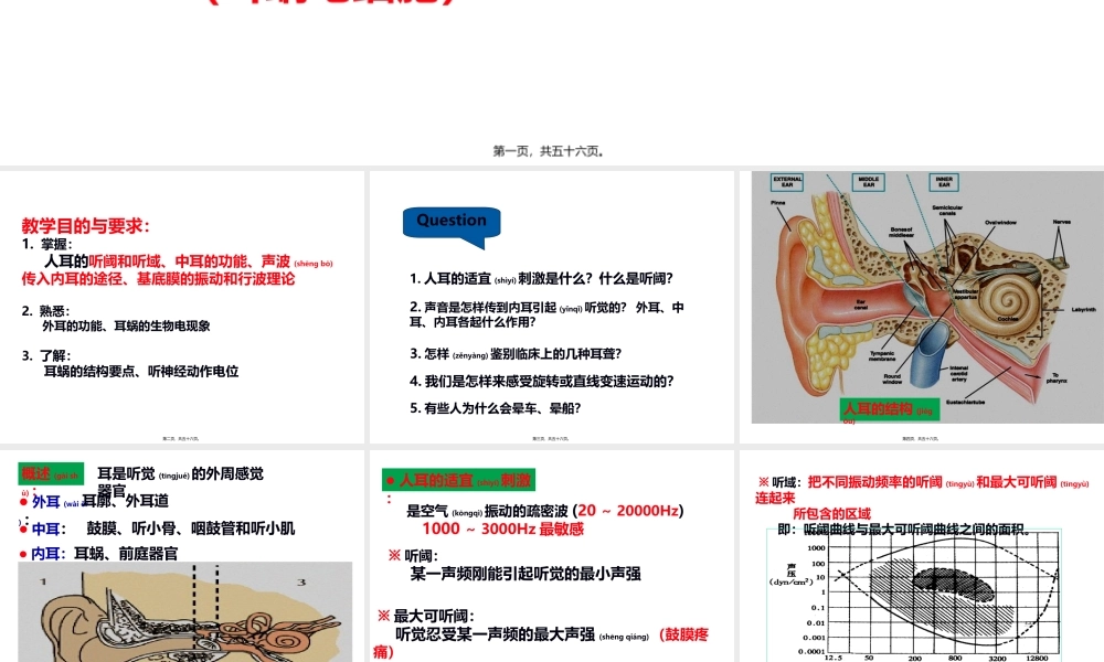 2022年医学专题—耳的听觉功能.ppt