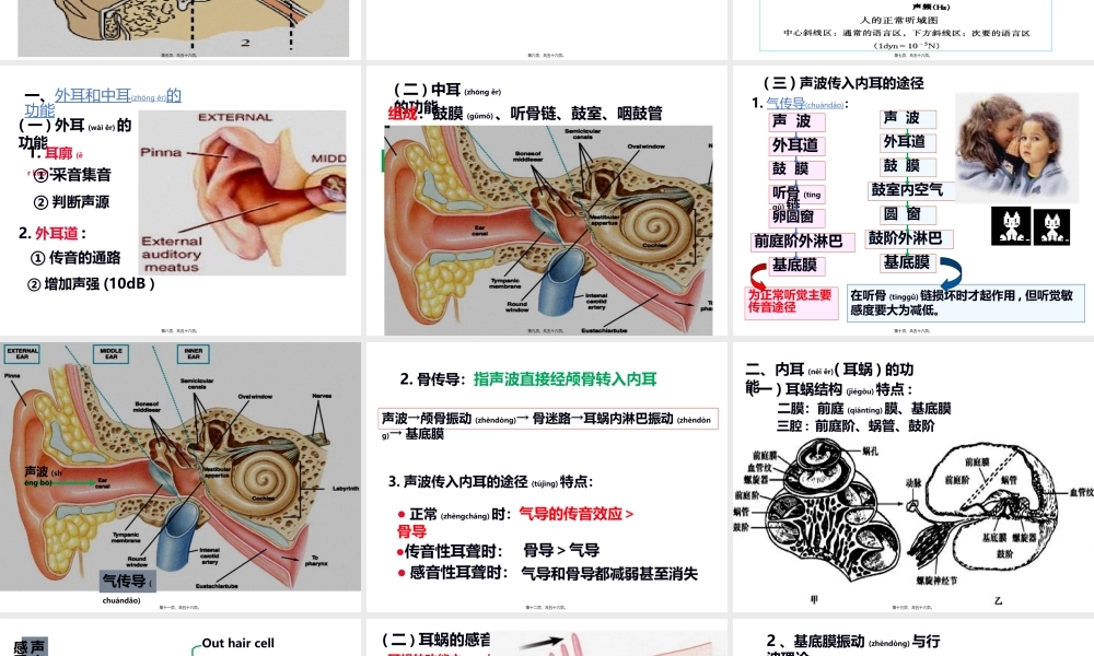 2022年医学专题—耳的听觉功能.ppt