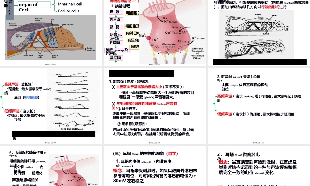2022年医学专题—耳的听觉功能.ppt