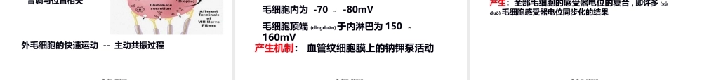 2022年医学专题—耳的听觉功能.ppt