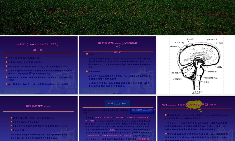 2022年医学专题—脑脊液检查与分析.ppt