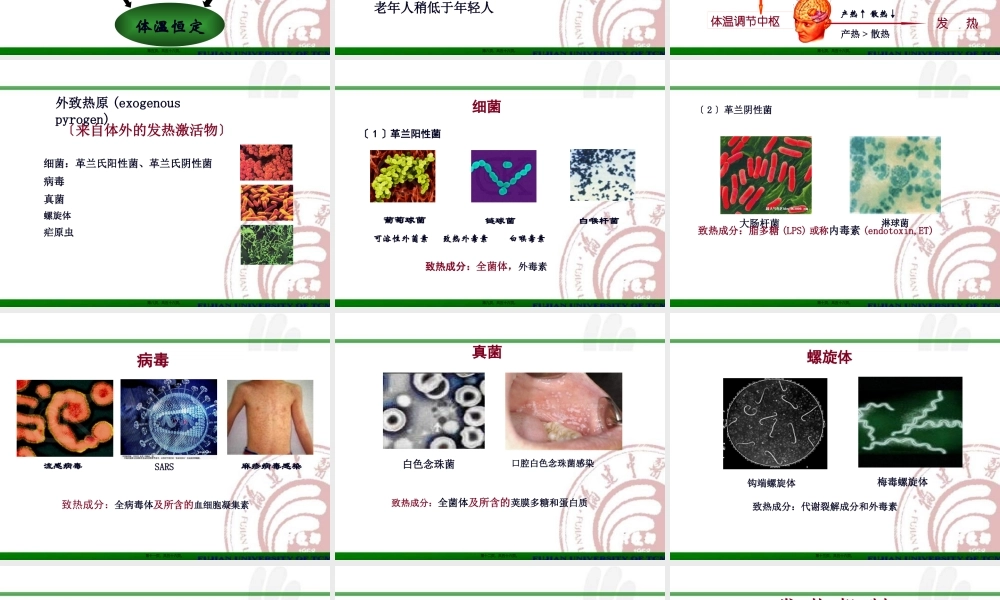 发热(最新)1.pptx