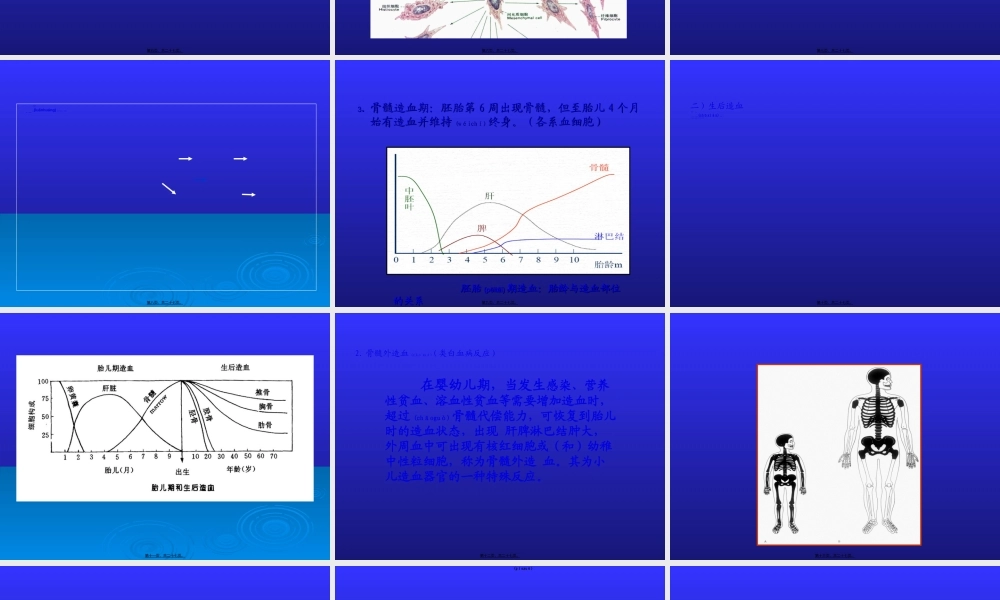 2022年医学专题—儿童造血及血象特点.ppt