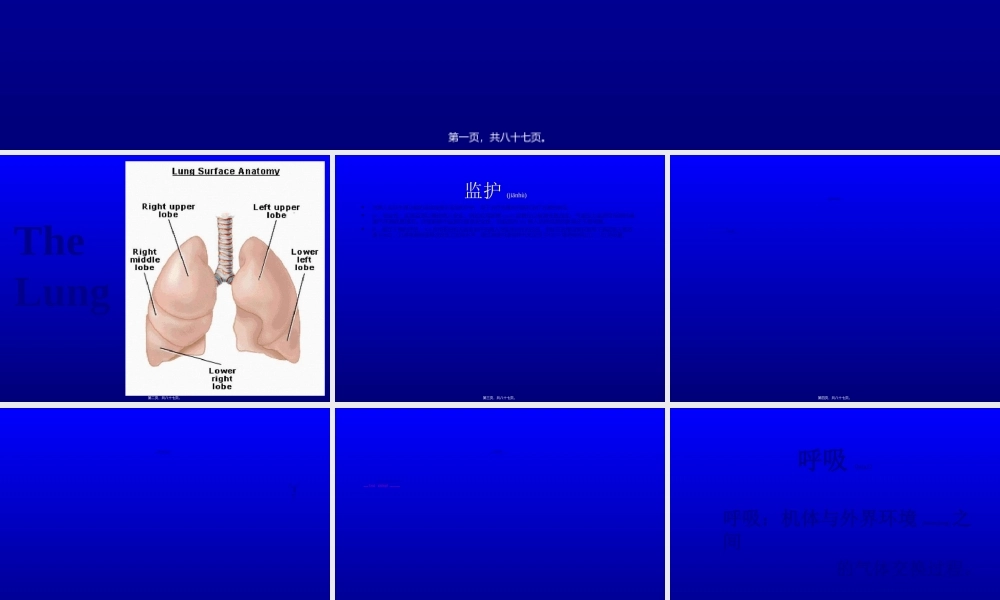 2022年医学专题—呼吸功能监测.ppt