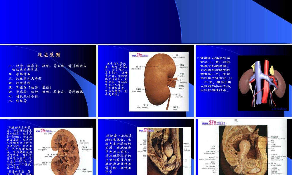 8.泌尿系统及前列腺超声检查.ppt