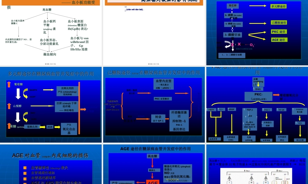2022年医学专题—糖尿病微血管病(交流).ppt