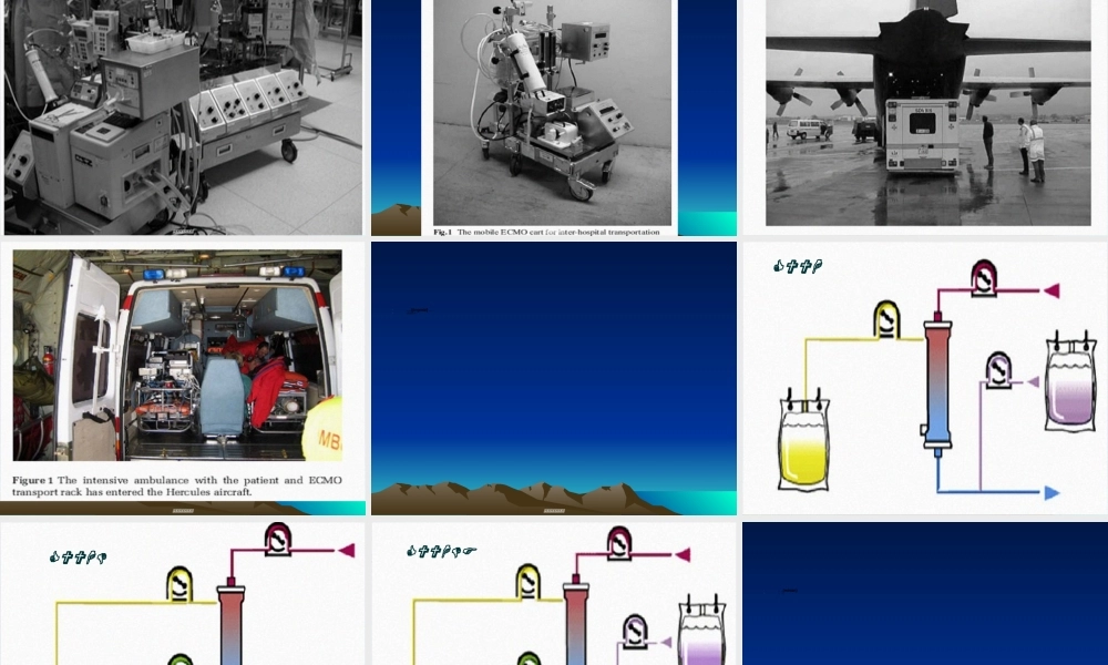 2022年医学专题—多脏器功能障碍杭州1008.ppt