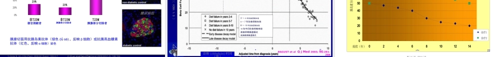 2022年医学专题—糖尿病自然病程-3.ppt