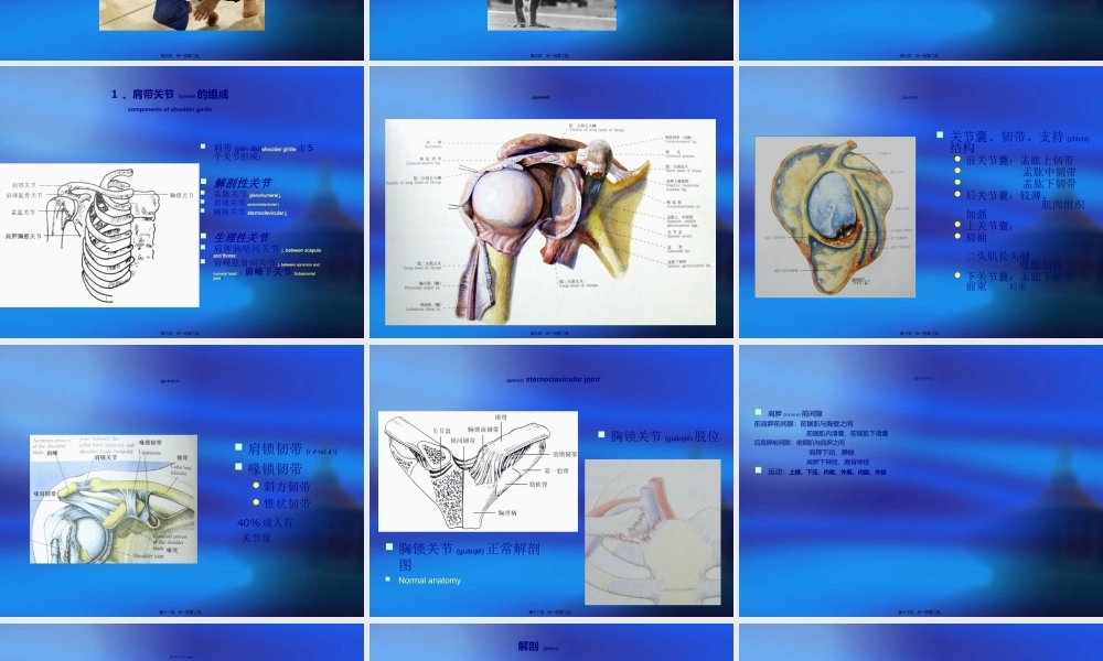 2022年医学专题—肩关节检查法-yyp.ppt