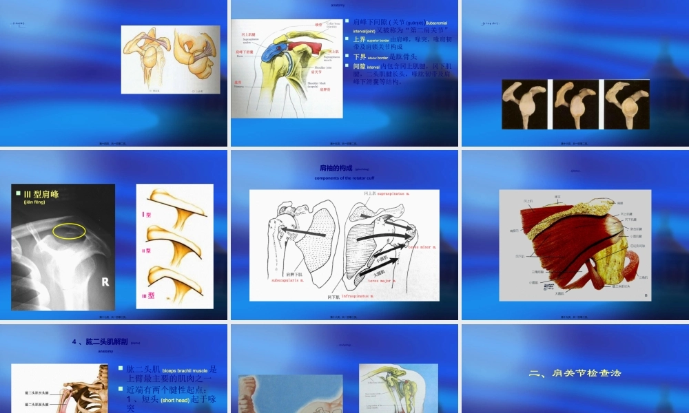 2022年医学专题—肩关节检查法-yyp.ppt