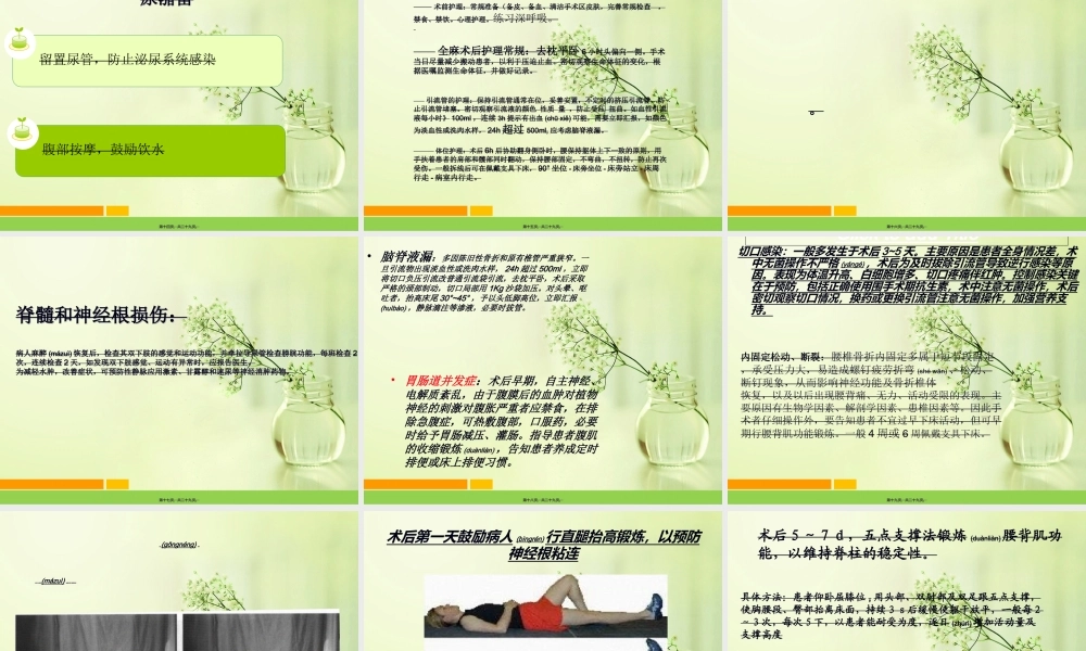 2022年医学专题—腰2椎体爆裂性骨折...ppt