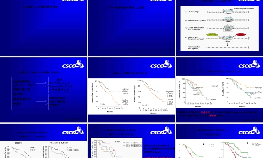2022年医学专题—分子标志物在非小细胞肺癌疗效和预后中的研究进展-石远凯-2009CSCO年会.ppt