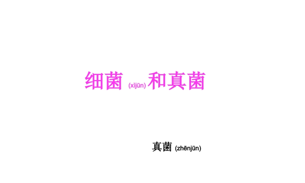 2022年医学专题—细菌和真菌PPT.ppt