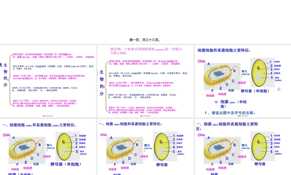 2022年医学专题—细菌和真菌PPT.ppt