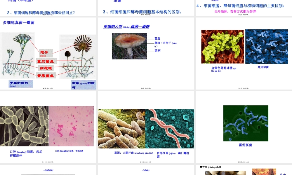 2022年医学专题—细菌和真菌PPT.ppt