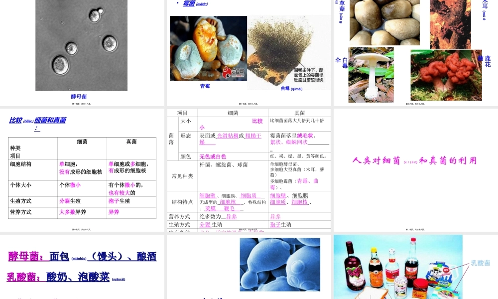 2022年医学专题—细菌和真菌PPT.ppt