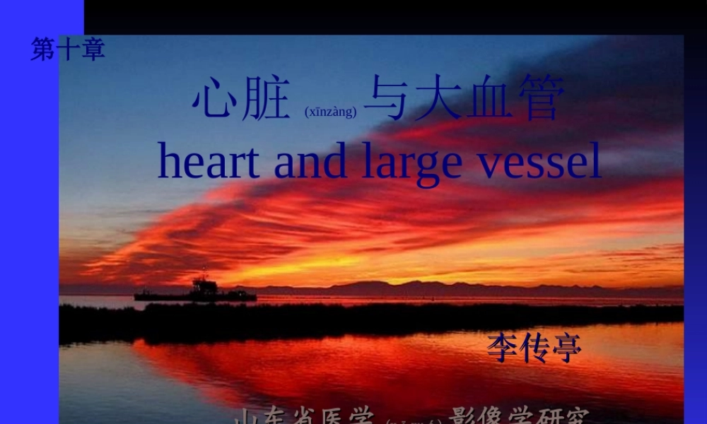 2022年医学专题—心脏与大血管(李传亭).ppt