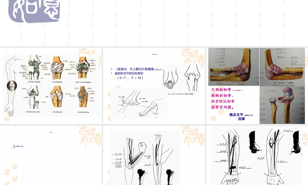 2022年医学专题—肘、前臂部筋伤.ppt