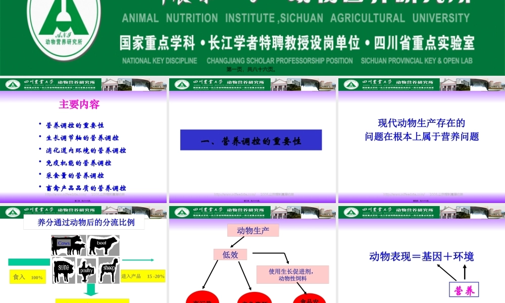 动物营养调控陈代文2006-10-23(精).pptx
