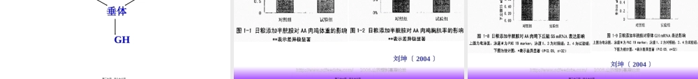 动物营养调控陈代文2006-10-23(精).pptx