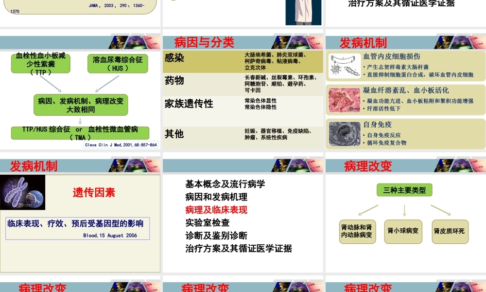 溶血尿毒综合症(he).ppt