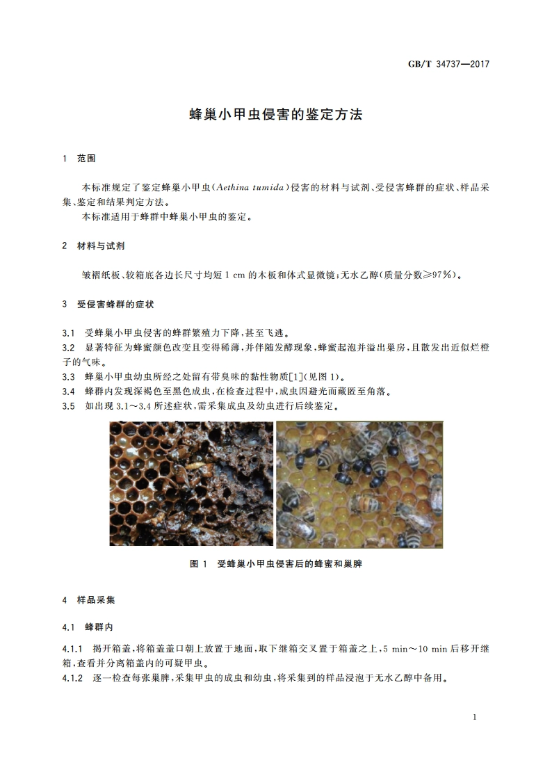 蜂巢小甲虫侵害的鉴定方法 GBT 34737-2017.pdf_第3页
