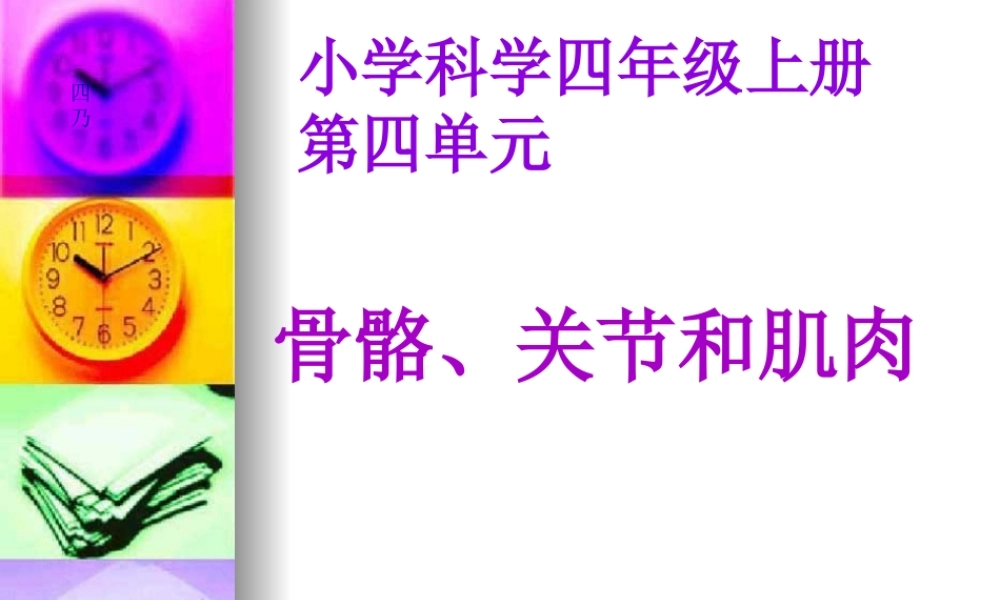 4.2《骨骼关节和肌肉》kejian(1).pptx