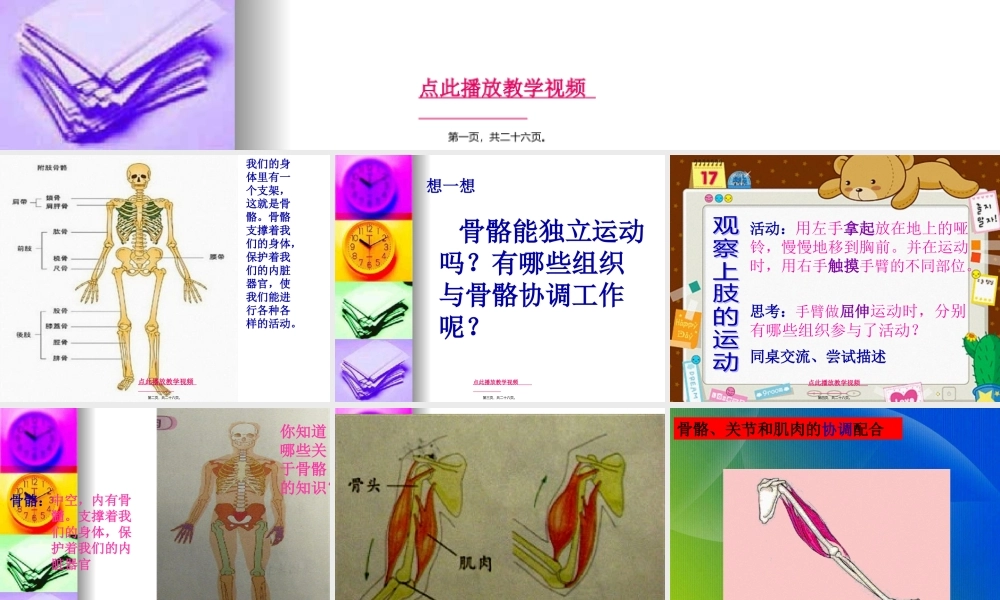 4.2《骨骼关节和肌肉》kejian(1).pptx