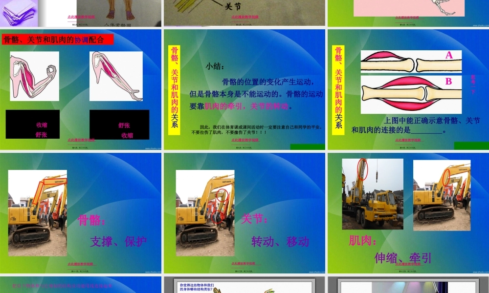 4.2《骨骼关节和肌肉》kejian(1).pptx