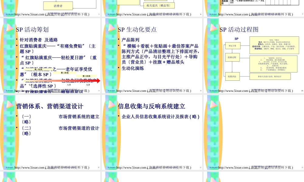 《K牌痛可贴2002届品牌整合推广案》(1).pptx