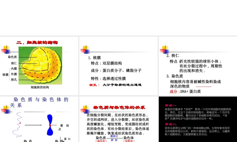 [资料]细胞核的构和功能1(1).ppt