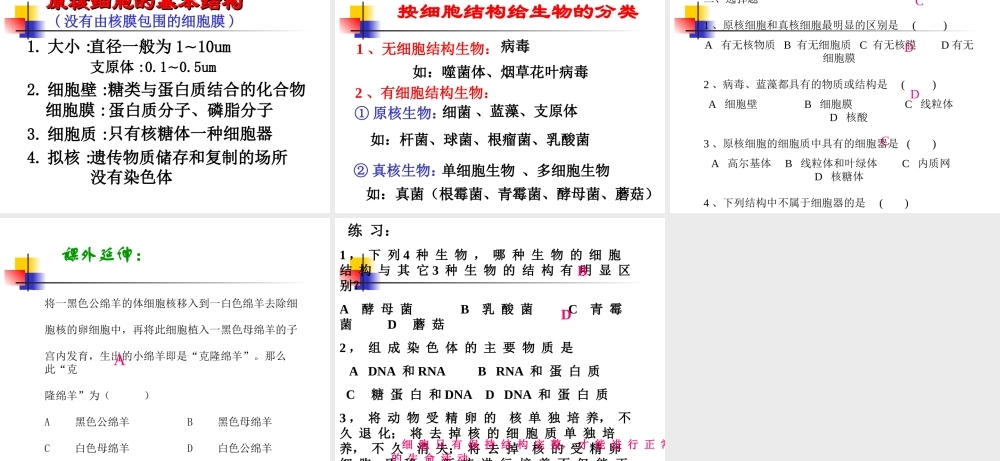 [资料]细胞核的构和功能1(1).ppt