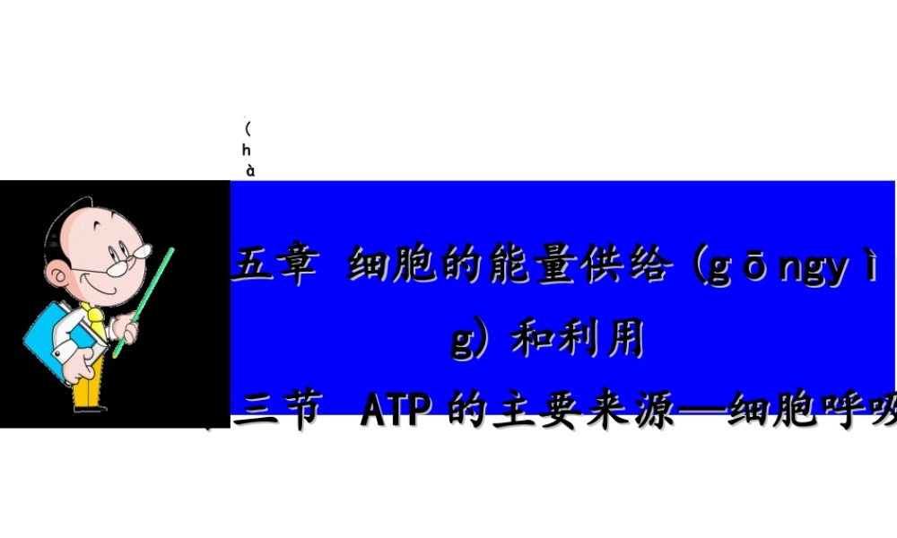 2022年医学专题—.3ATP的主要来源—细胞呼吸(1).ppt