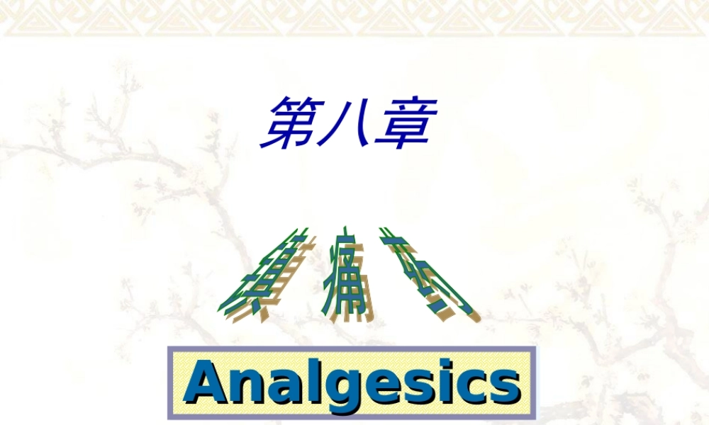 2022年医学专题—.镇痛药汇总(1).ppt