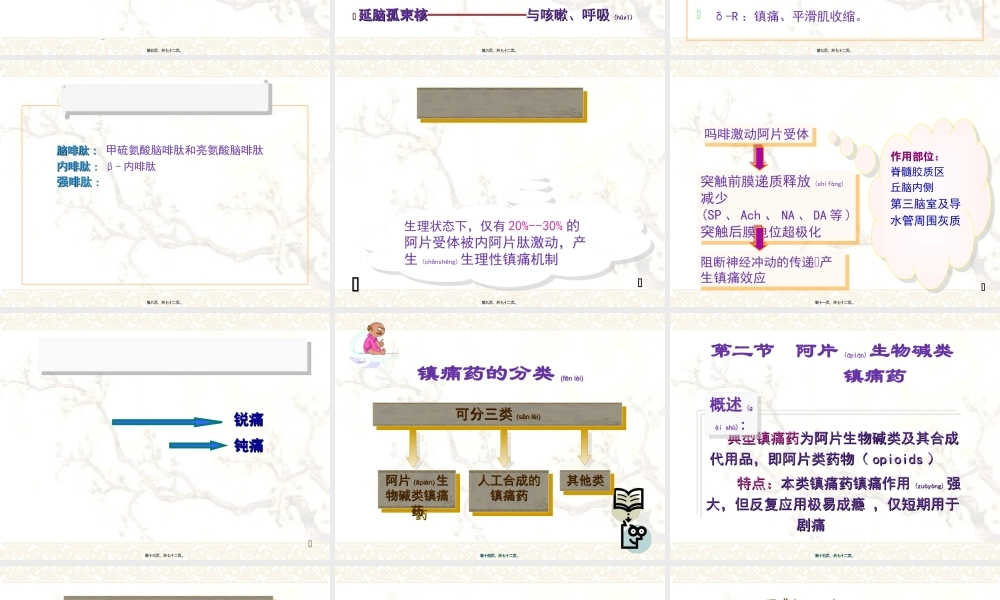 2022年医学专题—.镇痛药汇总(1).ppt