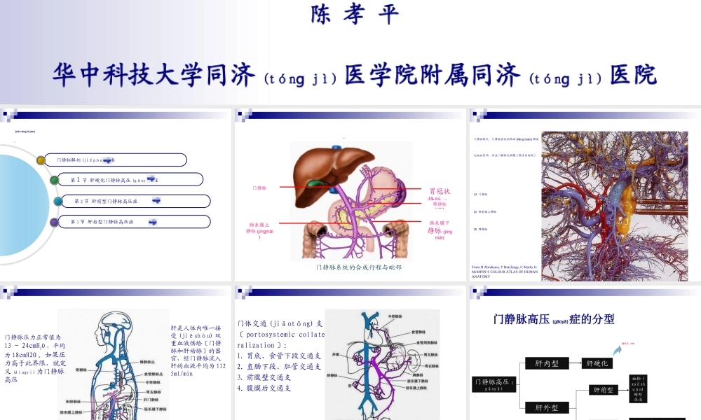 2022年医学专题—48第48章门静脉高压症(陈孝平)-56页PPT资料(1).ppt