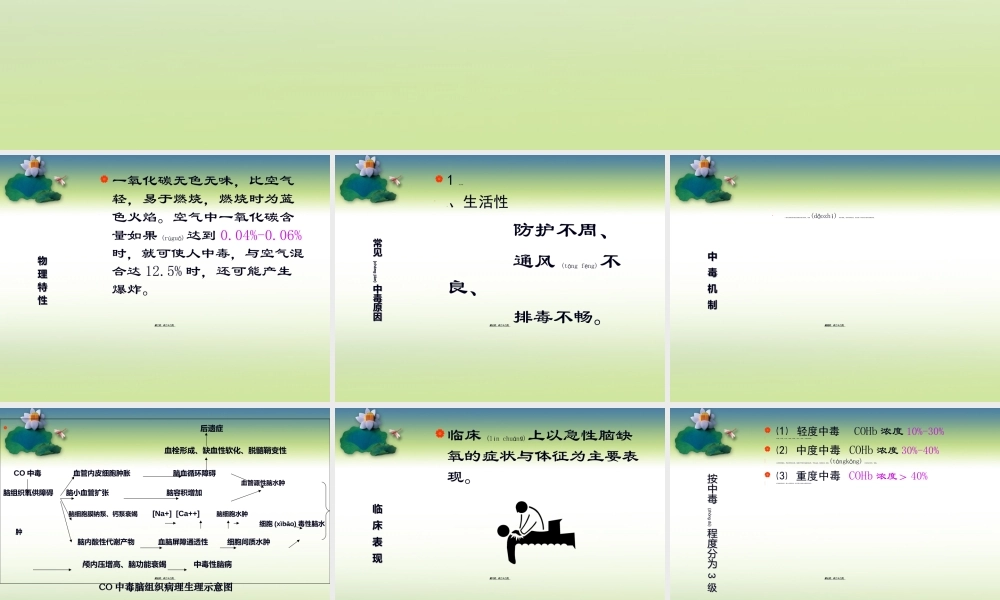 2022年医学专题—CO中毒---副本(1).ppt