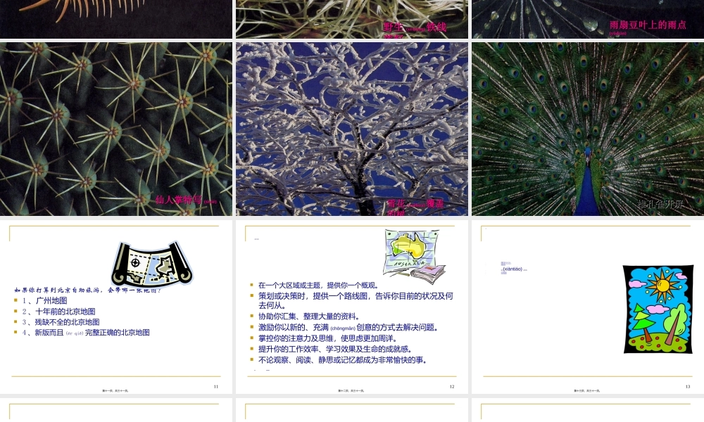 2022年医学专题—mmp自然界脑图pt(1).ppt