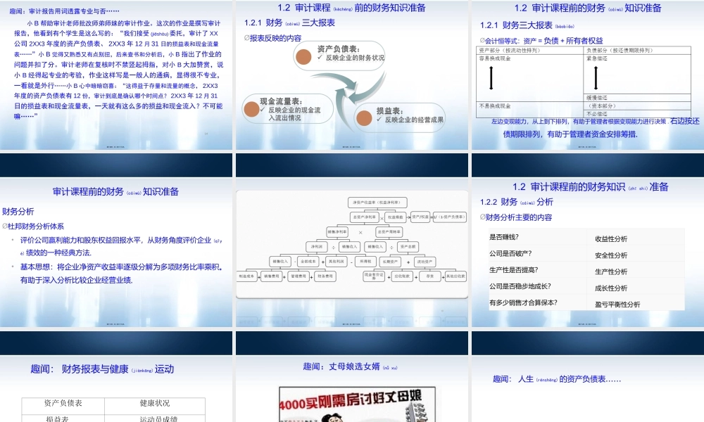 2022年医学专题—丁朝霞-医院内部审计工作流程、内部控制审计流程相关内部控制典型案例(1).ppt